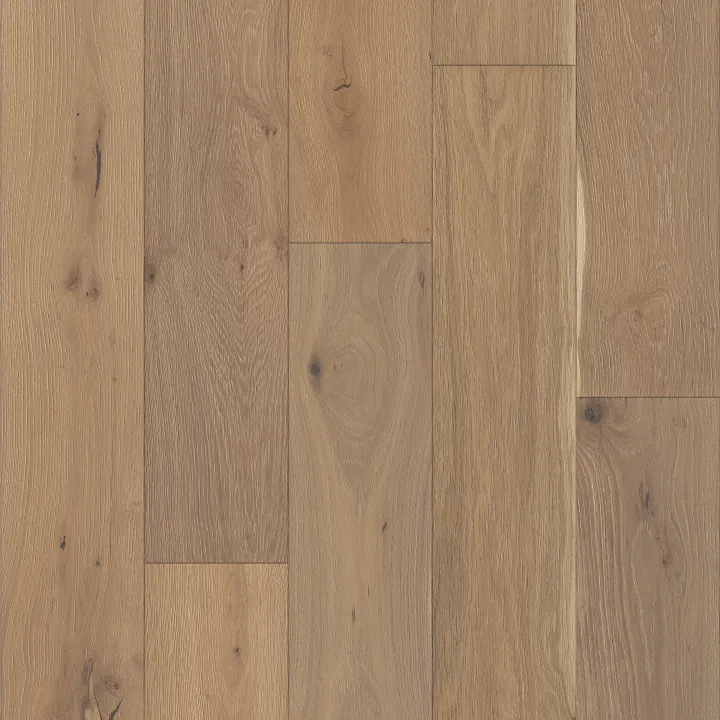 Shaw Floors Expressions — Alla Prima · SW707-01094 — flooring selection with LeviArs Design & Remodeling