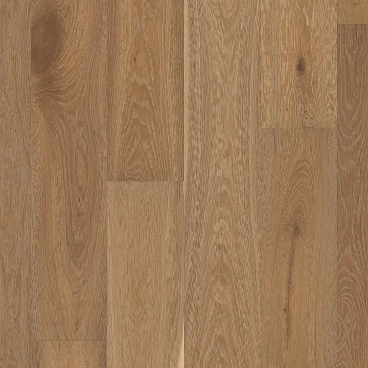 Shaw Floors Expressions — Artistry · SW707-07063 — flooring selection with LeviArs Design & Remodeling