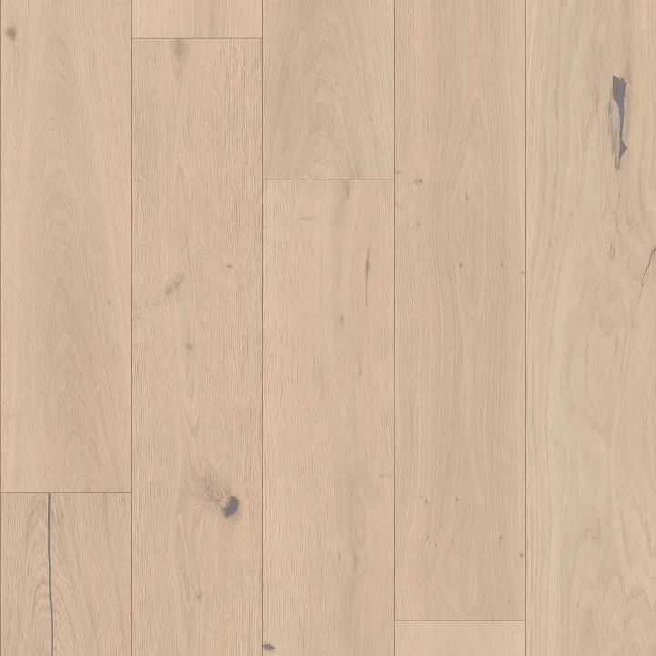 Shaw Floors Expressions — Cadence · SW707-01162 — flooring selection with LeviArs Design & Remodeling