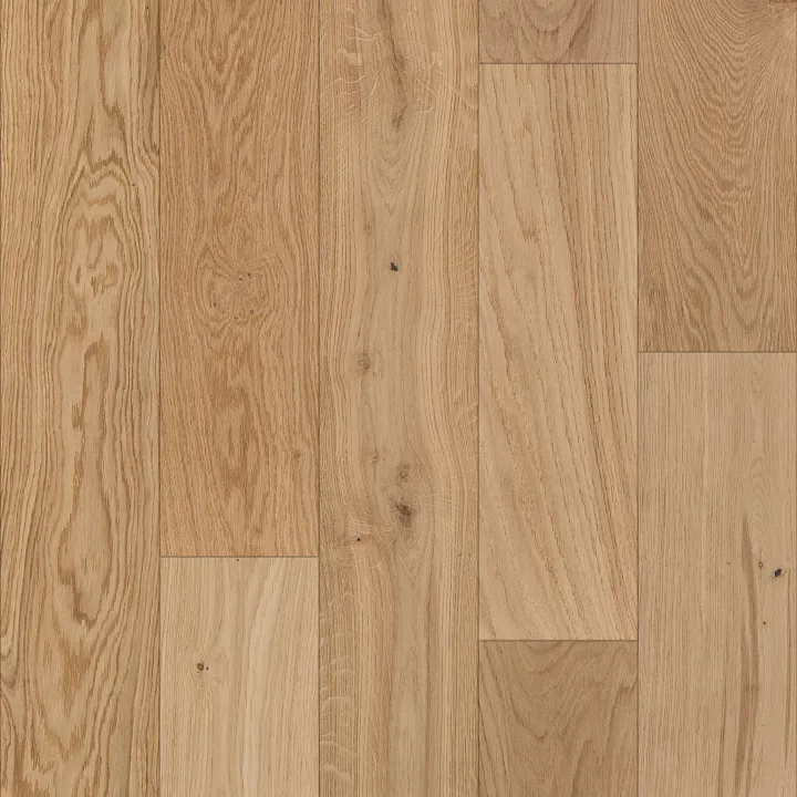 Shaw Floors Expressions — Harmony · SW707-02050 — flooring selection with LeviArs Design & Remodeling