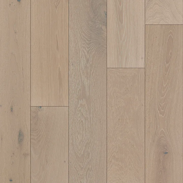 Shaw Floors Expressions — Melody · SW707-01077 — flooring selection with LeviArs Design & Remodeling