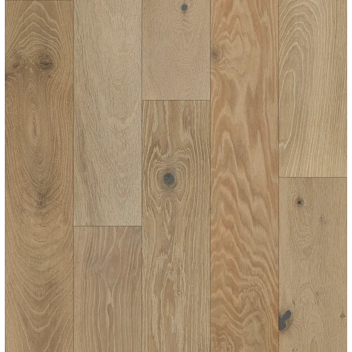 Shaw Floors Expressions — Mural · SW707-05080 — flooring selection with LeviArs Design & Remodeling