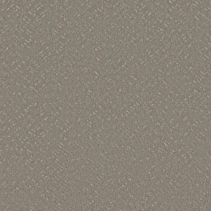 Shaw Floors Favoured Path — Ashes · 5E586-00501 — flooring selection with LeviArs Design & Remodeling