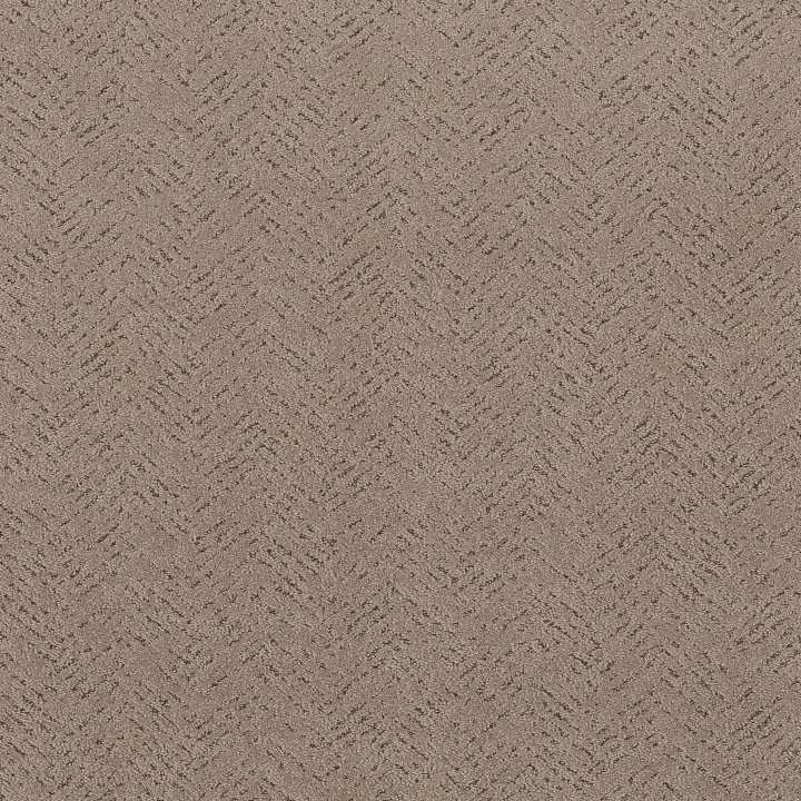 Shaw Floors Favoured Path — Cameo · 5E586-00113 — flooring selection with LeviArs Design & Remodeling