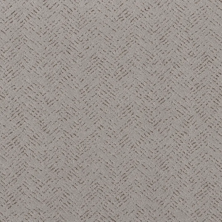 Shaw Floors Favoured Path — Gravity · 5E586-00556 — flooring selection with LeviArs Design & Remodeling