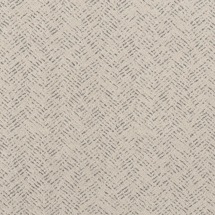 Shaw Floors Favoured Path — Snowfall · 5E586-00150 — flooring selection with LeviArs Design & Remodeling