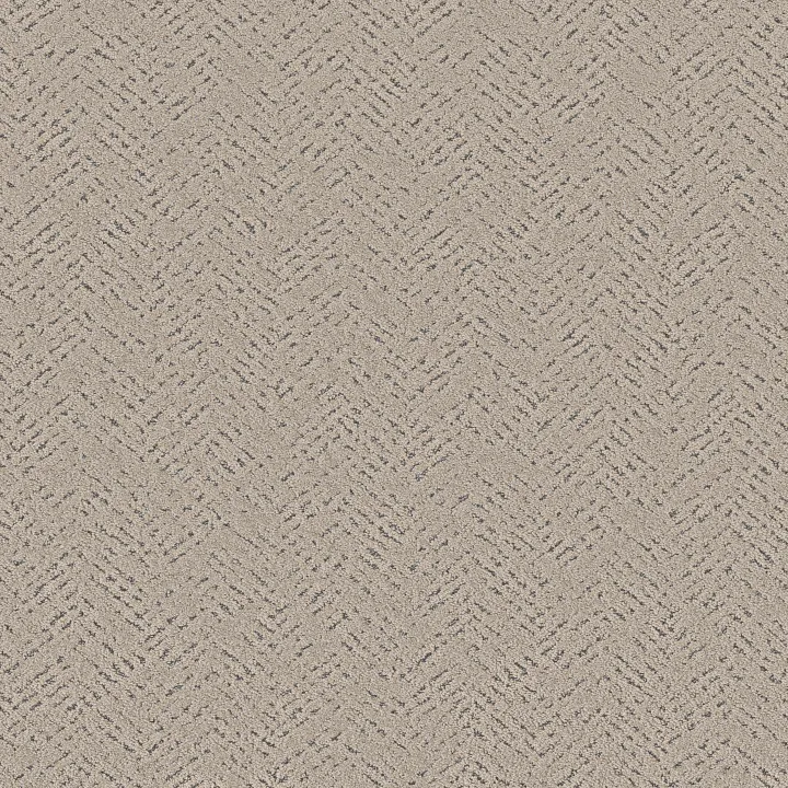 Shaw Floors Favoured Path — Warm Light · 5E586-00116 — flooring selection with LeviArs Design & Remodeling