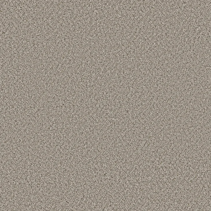 Shaw Floors Feelin' Alright — Almond · 5E741-00121 — flooring selection with LeviArs Design & Remodeling