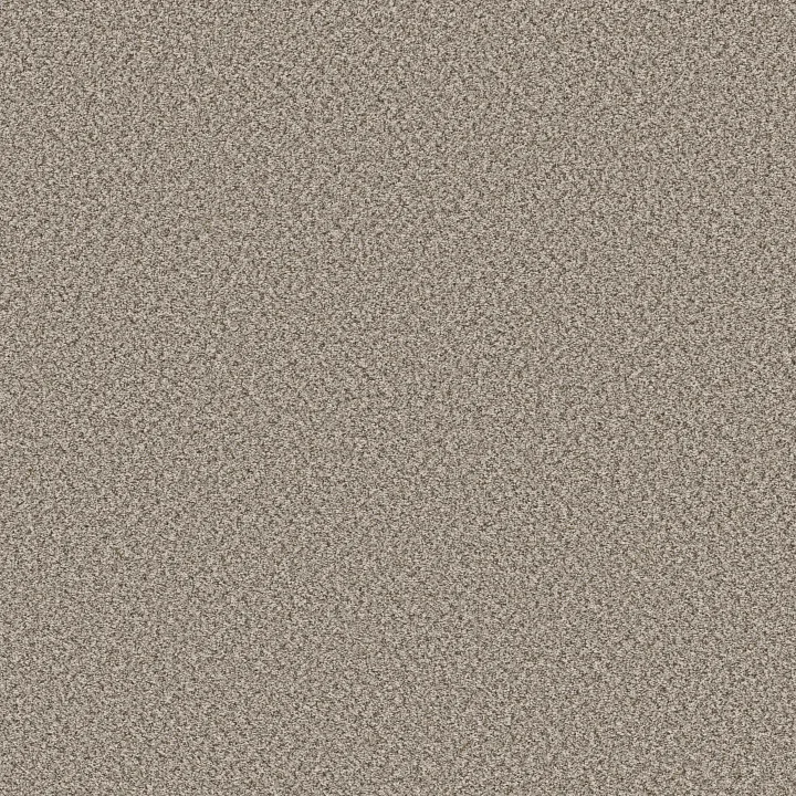 Shaw Floors Feelin' Alright — Blond Wood · 5E741-00123 — flooring selection with LeviArs Design & Remodeling