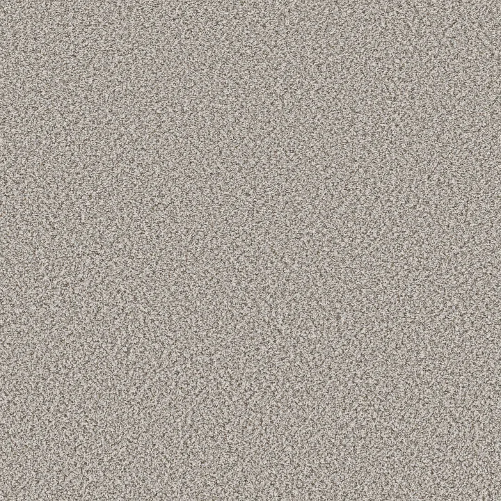 Shaw Floors Feelin' Alright — Buff · 5E741-00120 — flooring selection with LeviArs Design & Remodeling