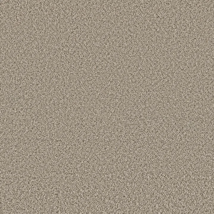 Shaw Floors Feelin' Alright — Flax · 5E741-00122 — flooring selection with LeviArs Design & Remodeling