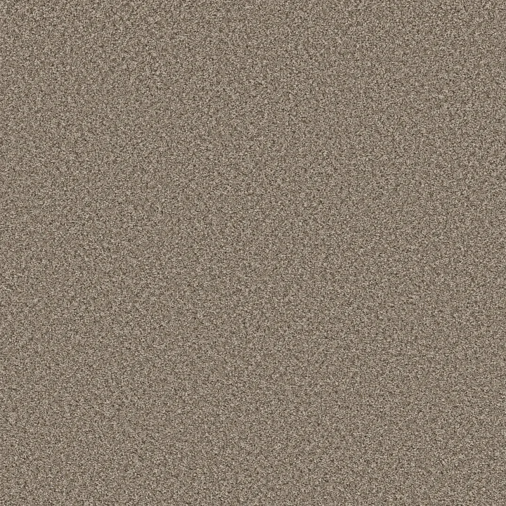 Shaw Floors Feelin' Alright — Nature Trail · 5E741-00720 — flooring selection with LeviArs Design & Remodeling