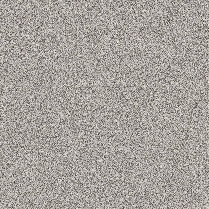 Shaw Floors Feelin' Alright — Snow Peak · 5E741-00130 — flooring selection with LeviArs Design & Remodeling