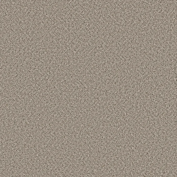Shaw Floors Feelin' Alright — Stepping Stone · 5E741-00133 — flooring selection with LeviArs Design & Remodeling