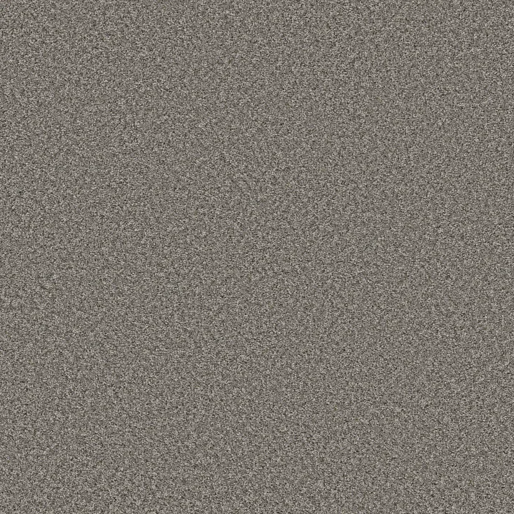 Shaw Floors Feelin' Alright — Washed Suede · 5E741-00521 — flooring selection with LeviArs Design & Remodeling