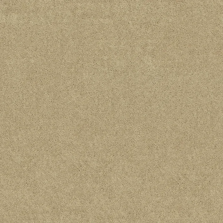 Shaw Floors Fielder'S Choice 15' — Adobe · 52Y92-00103 — flooring selection with LeviArs Design & Remodeling