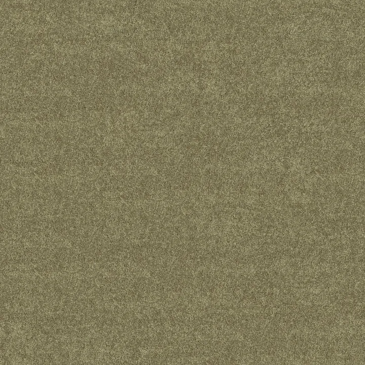 Shaw Floors Fielder'S Choice 15' — Aloe · 52Y92-00300 — flooring selection with LeviArs Design & Remodeling