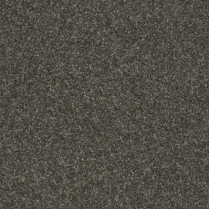 Shaw Floors All Star Weekend I 15' — Barn Beam · E0141-00740 — flooring selection with LeviArs Design & Remodeling