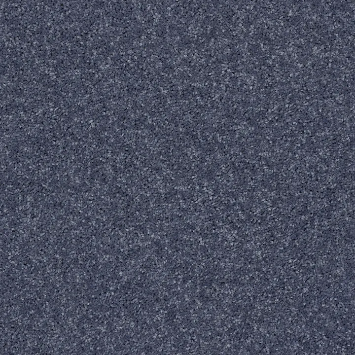 Shaw Floors All Star Weekend I 15' — Charcoal · E0141-00545 — flooring selection with LeviArs Design & Remodeling