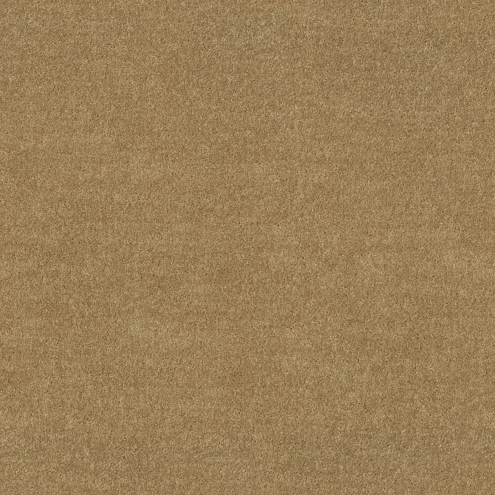 Shaw Floors Fielder'S Choice 15' — Cider · 52Y92-00202 — flooring selection with LeviArs Design & Remodeling