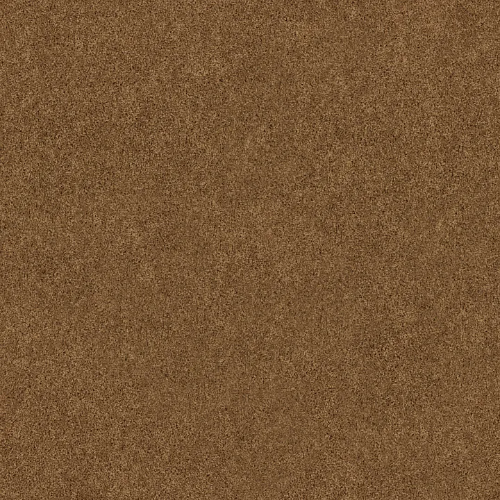 Shaw Floors All Star Weekend I 15' — Desert Sunrise · E0141-00721 — flooring selection with LeviArs Design & Remodeling