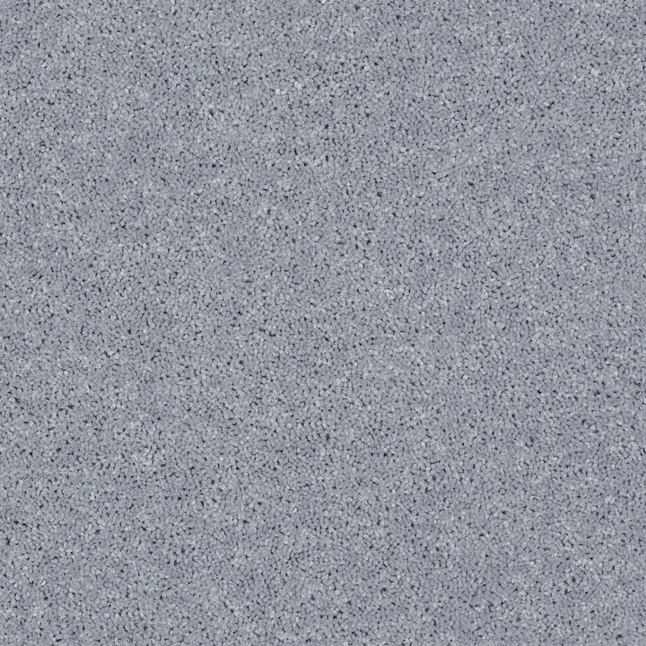 Shaw Floors All Star Weekend I 15' — Dolphin · E0141-00541 — flooring selection with LeviArs Design & Remodeling