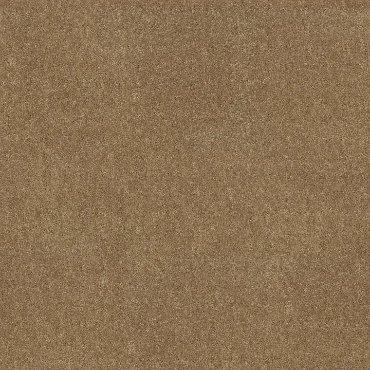 Shaw Floors All Star Weekend I 15' — Taffy · E0141-00704 — flooring selection with LeviArs Design & Remodeling