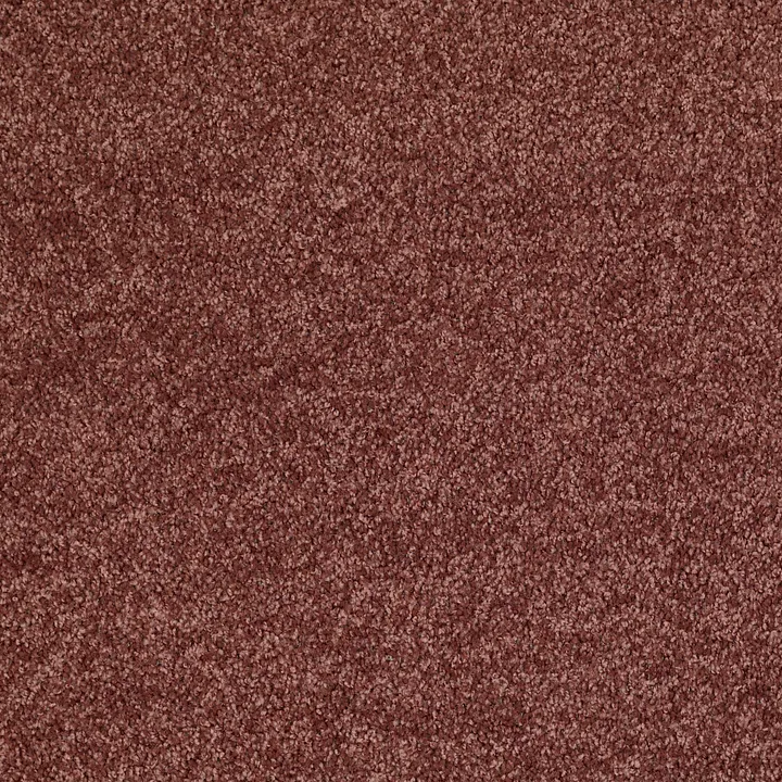 Shaw Floors All Star Weekend I 15' — Flower Pot · E0141-00610 — flooring selection with LeviArs Design & Remodeling