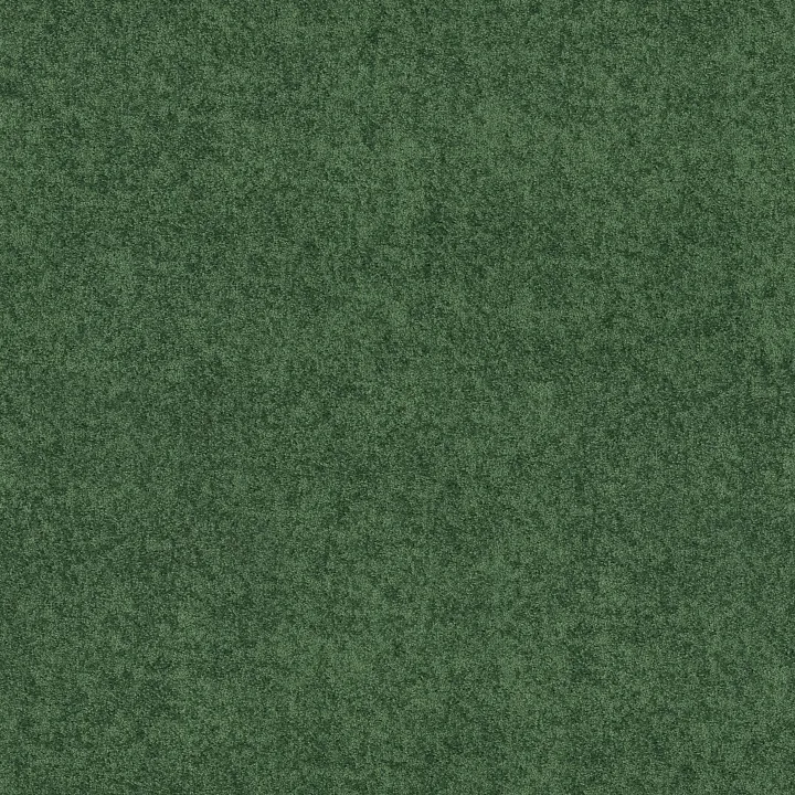 Shaw Floors Fielder'S Choice 15' — Going Green · 52Y92-00340 — flooring selection with LeviArs Design & Remodeling