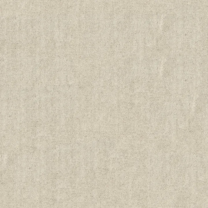 Shaw Floors Fielder'S Choice 15' — Halo · 52Y92-00100 — flooring selection with LeviArs Design & Remodeling