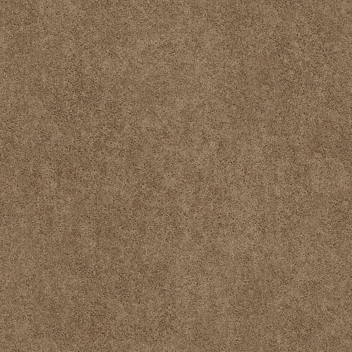 Shaw Floors All Star Weekend I 15' — Hearth Stone · E0141-00700 — flooring selection with LeviArs Design & Remodeling