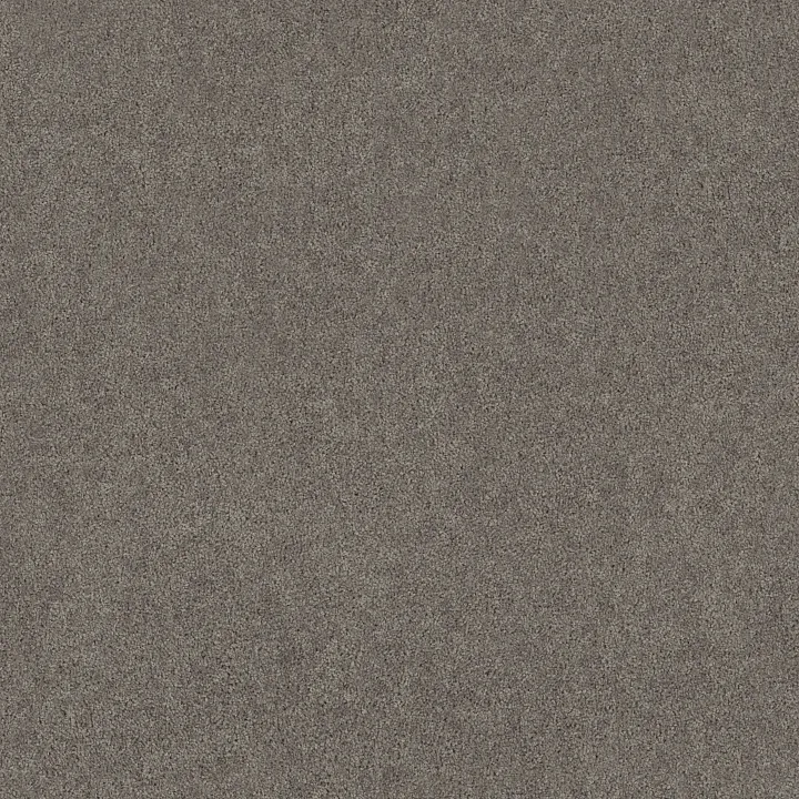 Shaw Floors Fielder'S Choice 15' — Ink Spot · 52Y92-00501 — flooring selection with LeviArs Design & Remodeling