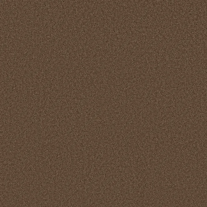Shaw Floors All Star Weekend I 15' — Cattail · E0141-00702 — flooring selection with LeviArs Design & Remodeling
