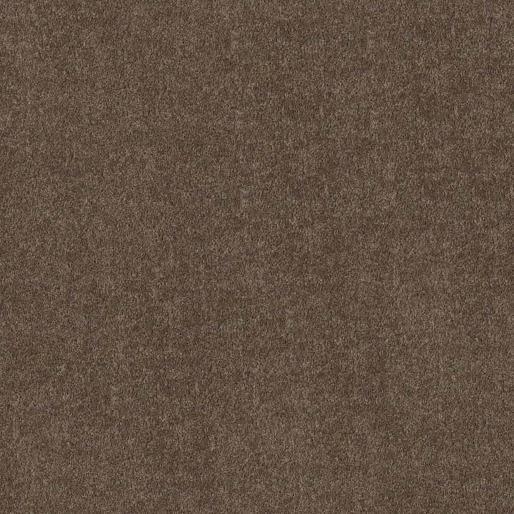 Shaw Floors All Star Weekend I 15' — Molasses · E0141-00710 — flooring selection with LeviArs Design & Remodeling