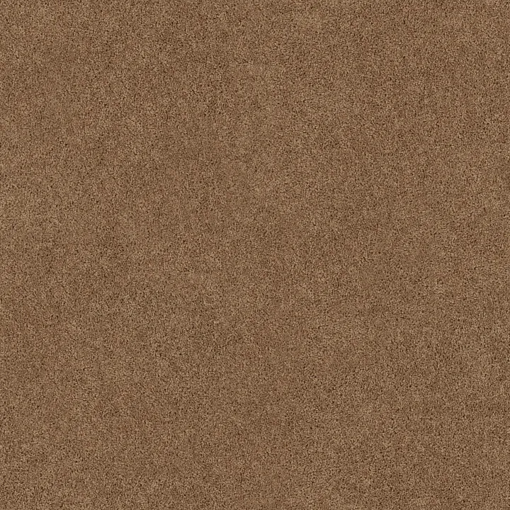 Shaw Floors Briceville Classic 15 — Rio Grande · E0952-00701 — flooring selection with LeviArs Design & Remodeling