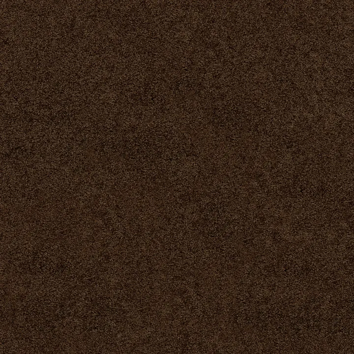 Shaw Floors All Star Weekend I 15' — Coffee Bean · E0141-00705 — flooring selection with LeviArs Design & Remodeling