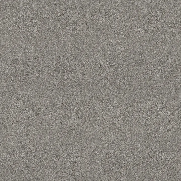 Shaw Floors Find your comfort I - Tonal — Cool Breeze (T) · EA817-525T — flooring selection with LeviArs Design & Remodeling