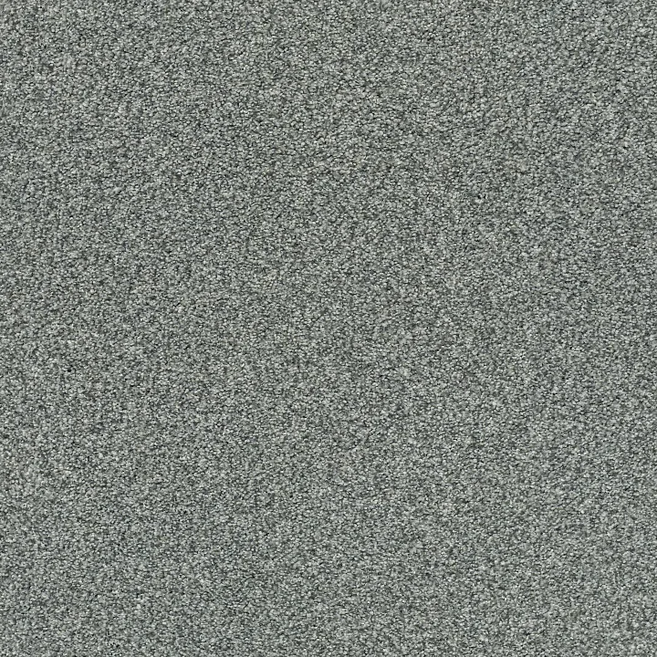 Shaw Floors Find your comfort II - Tonal — Cottage Garden · EA818-308T — flooring selection with LeviArs Design & Remodeling