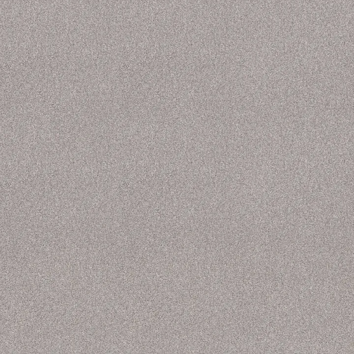 Shaw Floors Find your comfort I - Tonal — Dreamy (T) · EA817-537T — flooring selection with LeviArs Design & Remodeling