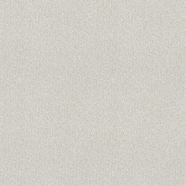 Shaw Floors Find your comfort I - Tonal — Gallery Opening · EA817-125T — flooring selection with LeviArs Design & Remodeling