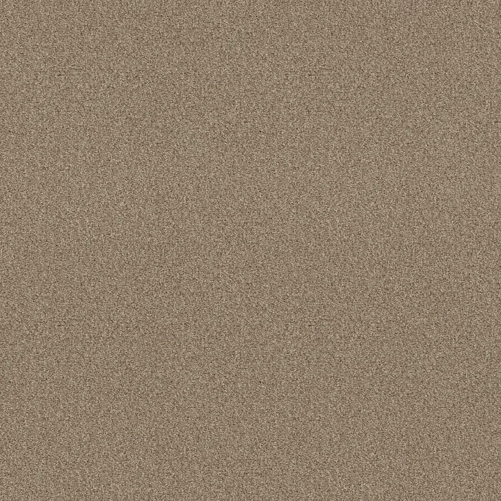 Shaw Floors Find your comfort I - Tonal — Honey Tea (T) · EA817-750T — flooring selection with LeviArs Design & Remodeling