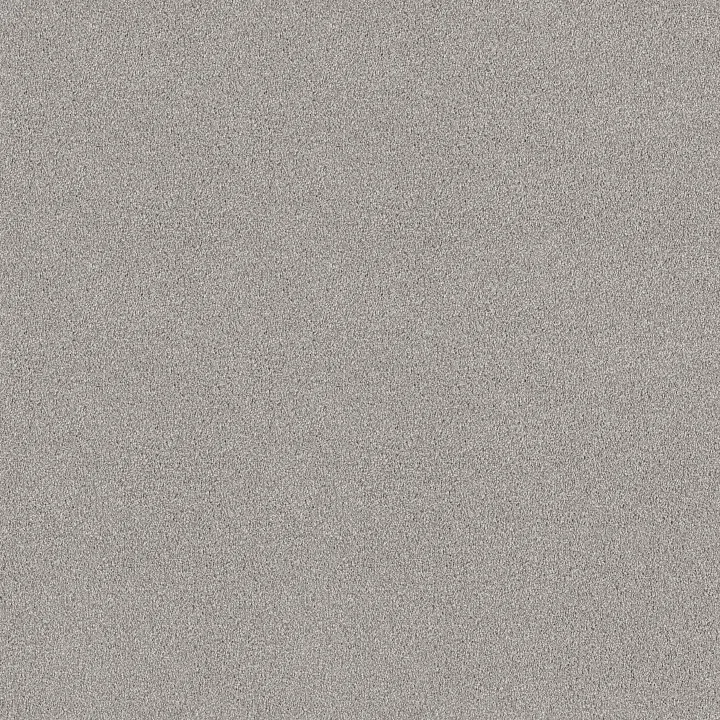 Shaw Floors Find your comfort I - Tonal — Morning Dew (T) · EA817-539T — flooring selection with LeviArs Design & Remodeling