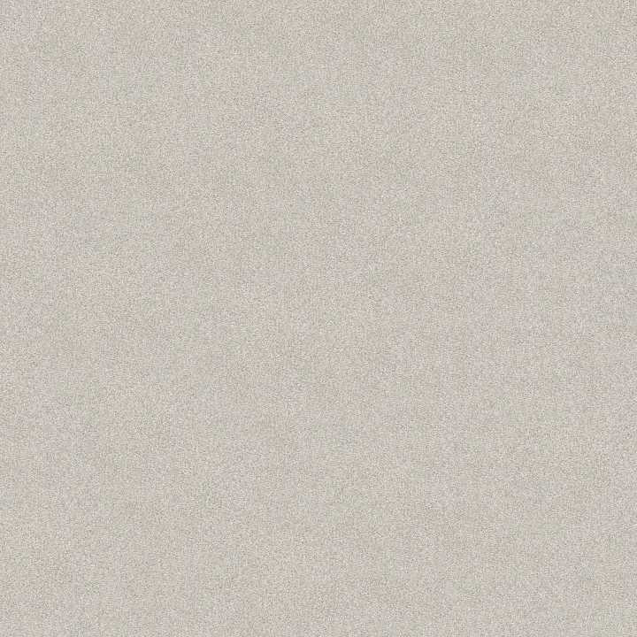 Shaw Floors Tonal Comfort I — Quiet Time · 5E656-00514 — flooring selection with LeviArs Design & Remodeling
