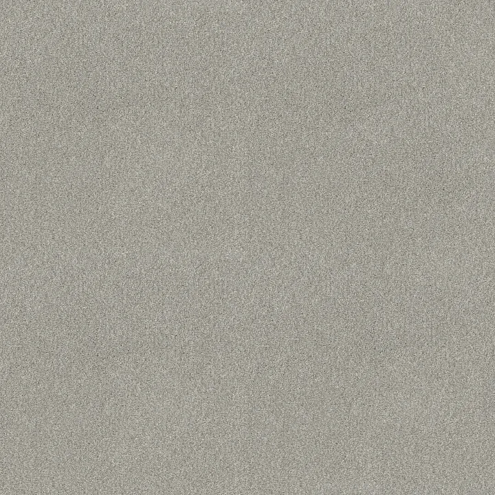 Shaw Floors Find your comfort I - Tonal — Refreshed (T) · EA817-515T — flooring selection with LeviArs Design & Remodeling