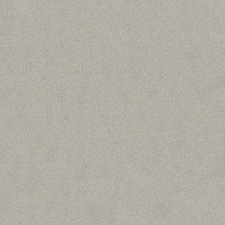Shaw Floors Tonal Comfort I — Restful Day · 5E656-00512 — flooring selection with LeviArs Design & Remodeling