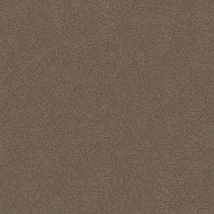 Shaw Floors Find your comfort I - Tonal — Summer House (T · EA817-708T — flooring selection with LeviArs Design & Remodeling