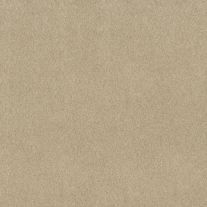 Shaw Floors Find your comfort I - Tonal — Sun Kissed (T) · EA817-110T — flooring selection with LeviArs Design & Remodeling