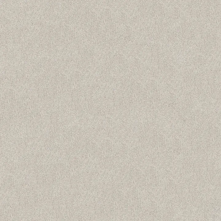 Shaw Floors Find your comfort I - Tonal — Warm Blanket (T · EA817-114T — flooring selection with LeviArs Design & Remodeling