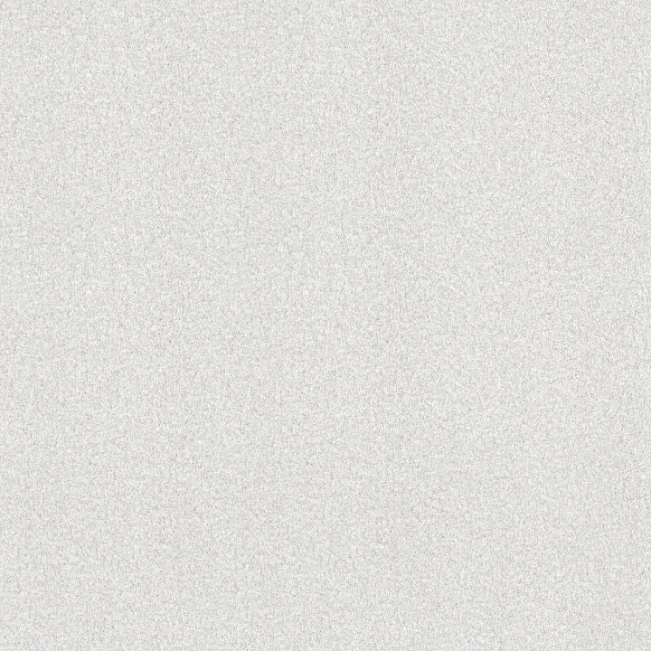 Shaw Floors Find your comfort I - Tonal — Wedding Day (T) · EA817-150T — flooring selection with LeviArs Design & Remodeling