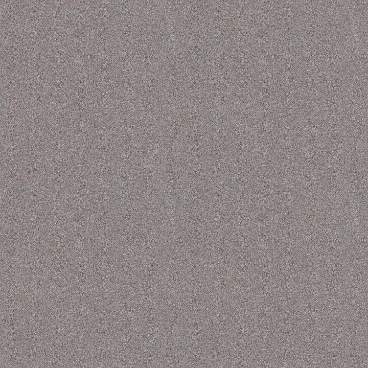 Shaw Floors Find your comfort I - Tonal — Whisper (T) · EA817-536T — flooring selection with LeviArs Design & Remodeling